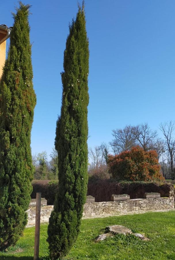 Denicé Chateau De La Venerie المظهر الخارجي الصورة