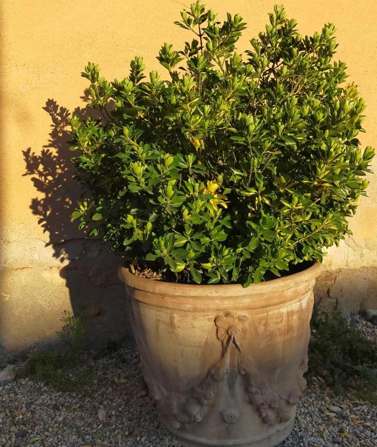 Denicé Chateau De La Venerie المظهر الخارجي الصورة