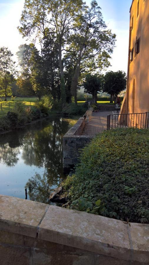 Denicé Chateau De La Venerie المظهر الخارجي الصورة