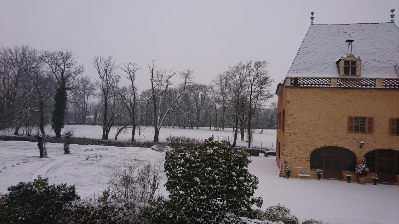 Denicé Chateau De La Venerie المظهر الخارجي الصورة